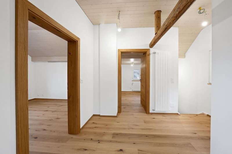 Single-family house (9)