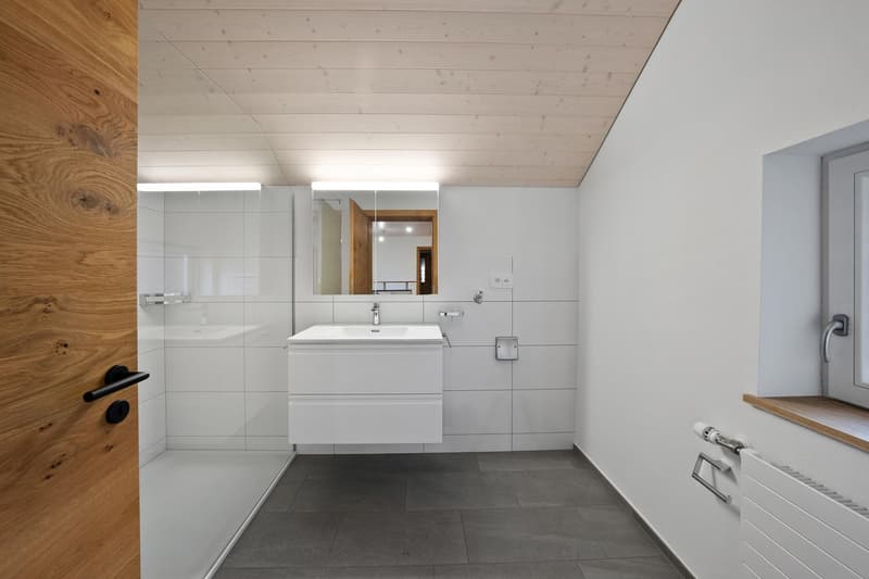 Single-family house (6)