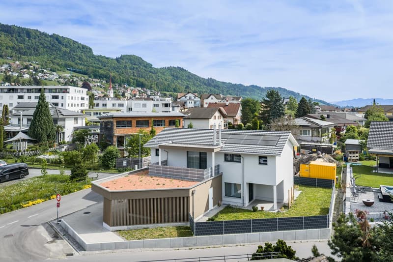 Two-family house (2)