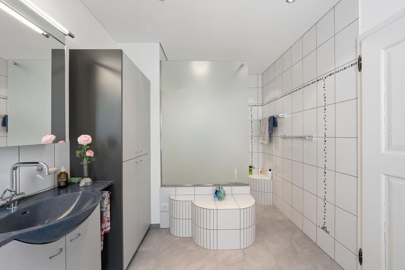 Detached house with studio (7)