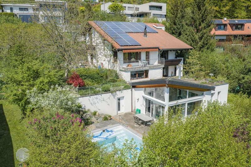 Detached house with studio (2)