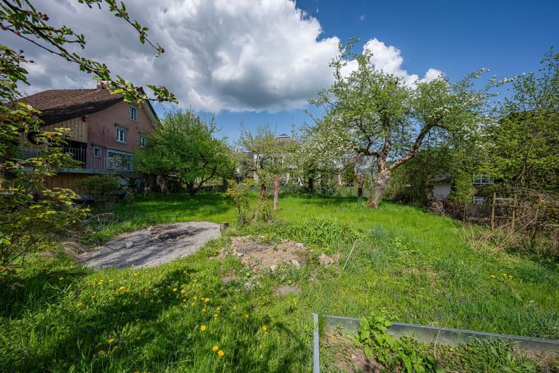 Building land plot (5)
