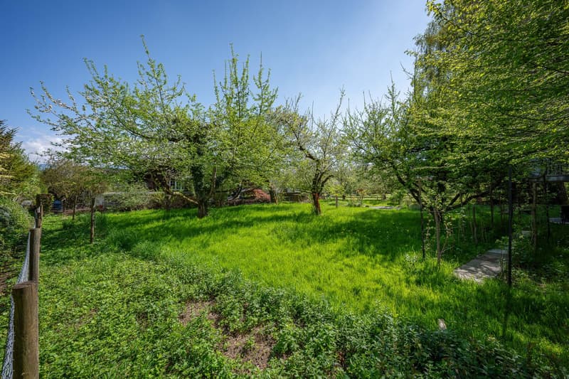 Building land plot (4)