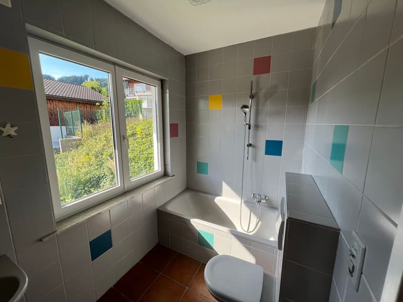3.5-Room Attic Apartment (7)