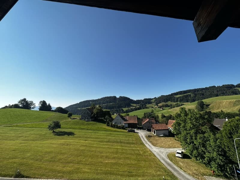 3.5-Room Attic Apartment (8)