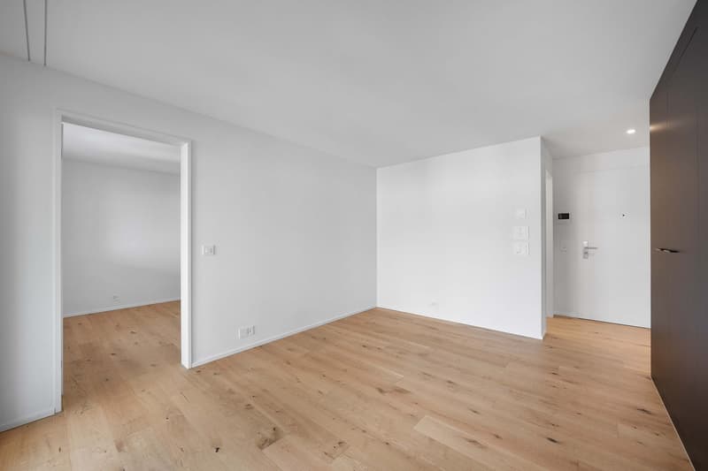 2.5-Room Apartment (5)