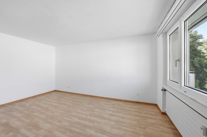 3.5-Room Apartment (5)
