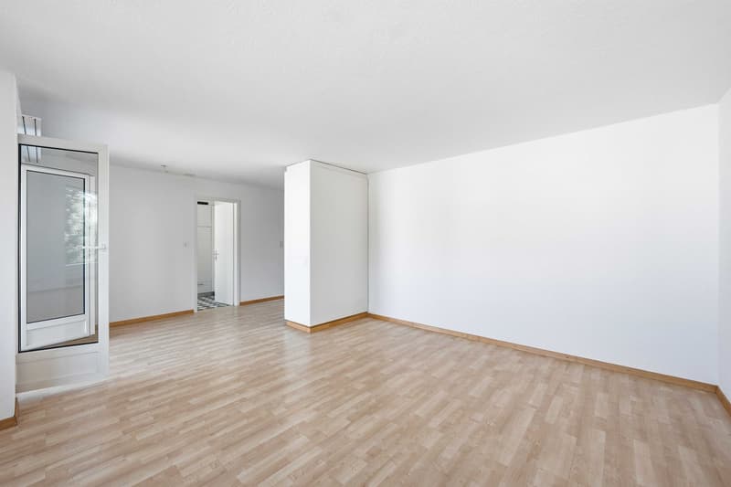 3.5-Room Apartment (4)