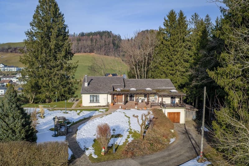 Single-family house (2)