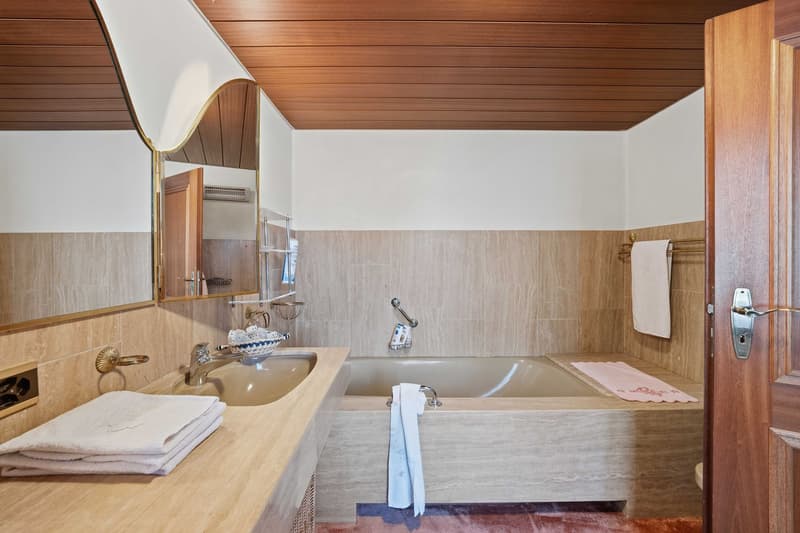 Single-family house (10)