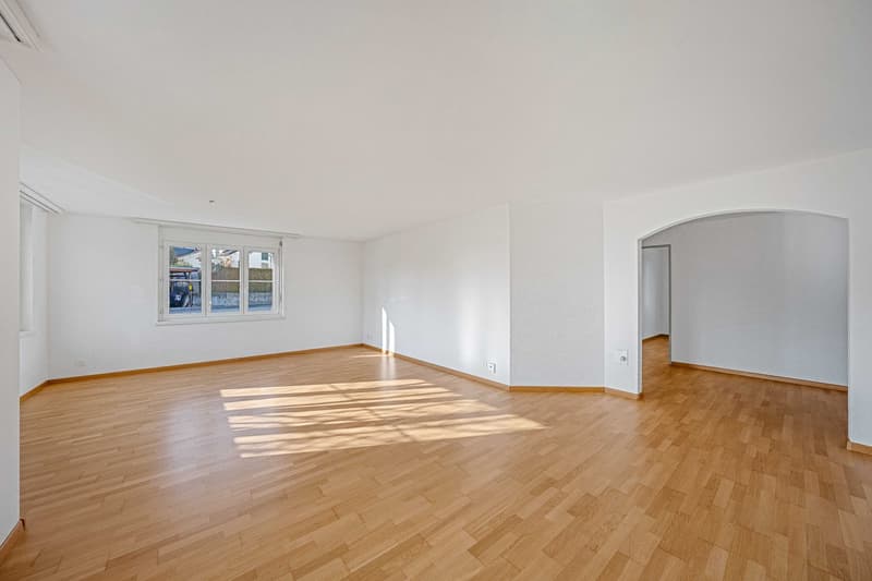 Appartamento 4,5 locali (5)