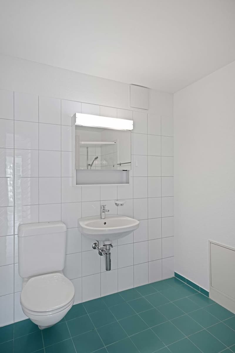 Appartamento 4,5 locali (9)
