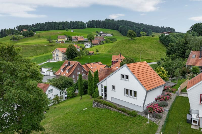 Holiday Home (2)