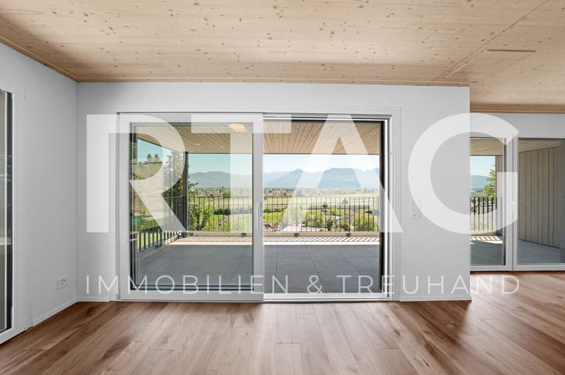 Living with a view – stylish new semi-detached houses (1)