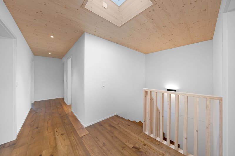 Newly built semi-detached houses - living with a wide view (6)