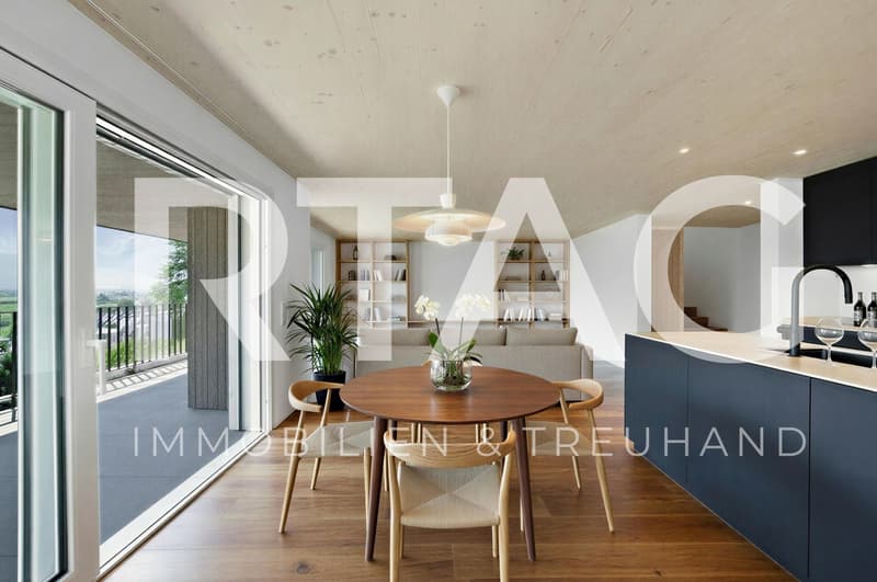 Newly built semi-detached houses - living with a wide view (1)