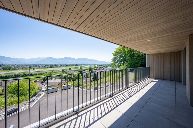 Newly built semi-detached houses - living with a wide view (9)