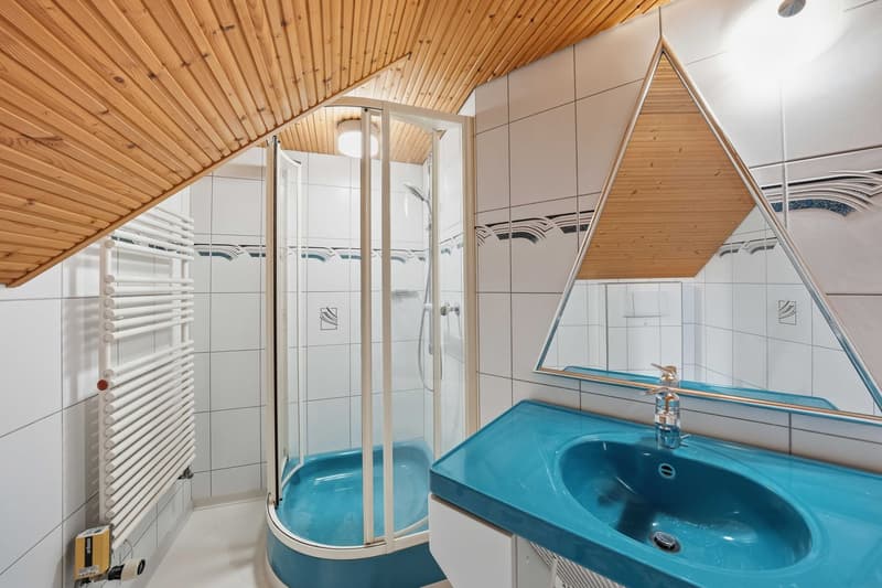 5.0-room single-family house (9)
