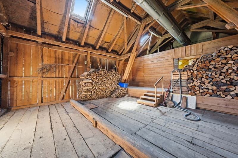 Detached house with double garage, barn and separate outbuilding (8)