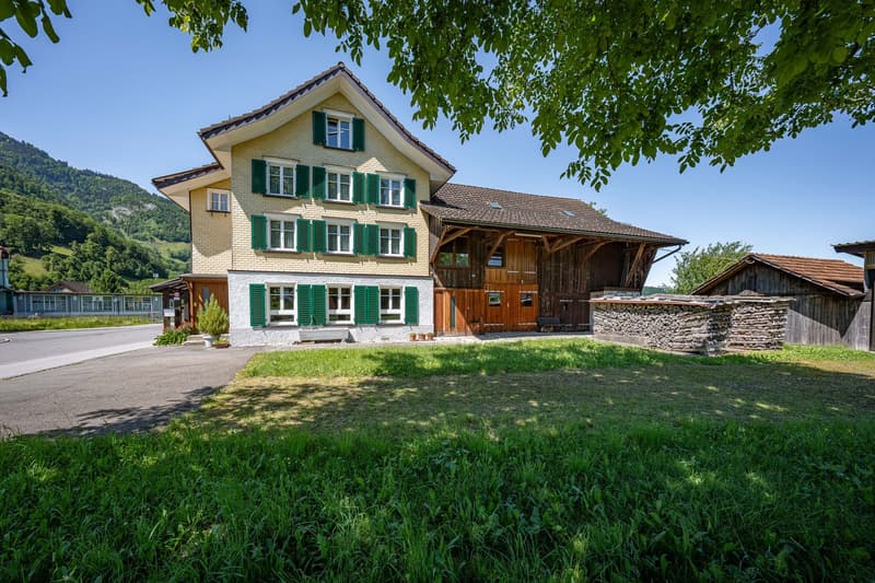 Detached house with double garage, barn and separate outbuilding (2)