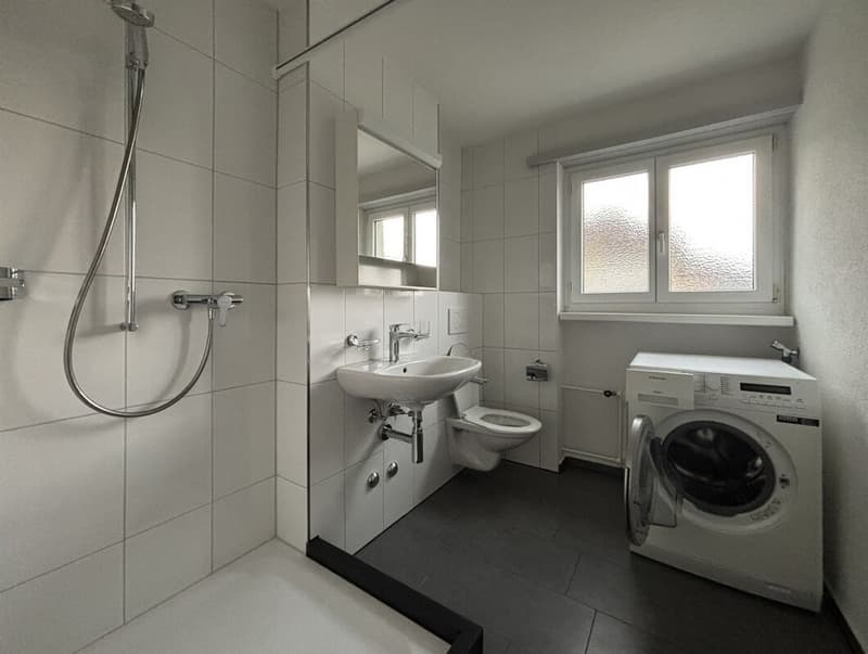3.5-Room Apartment (5)