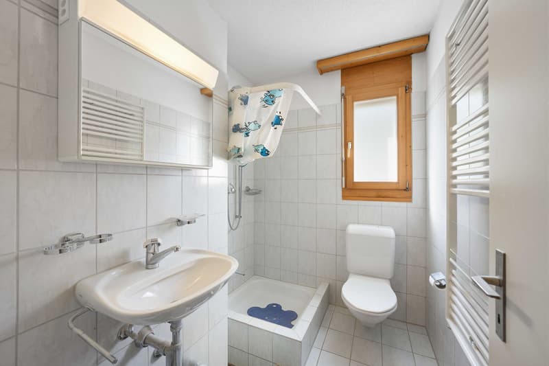 3.5-Room Apartment (7)
