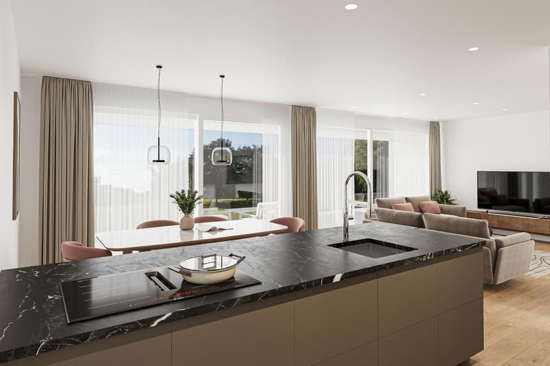 New construction project "HUS Nöllen" (3)