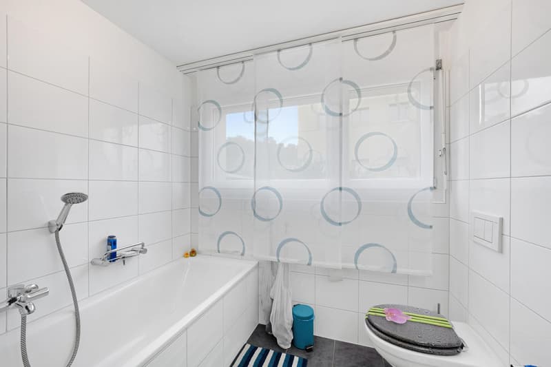4.5-Zimmer-Wohnung (10)