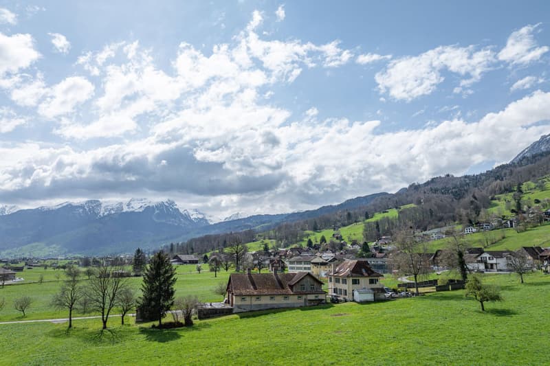 Wohn- und Geschäftshaus mit Nebenbauten (11)
