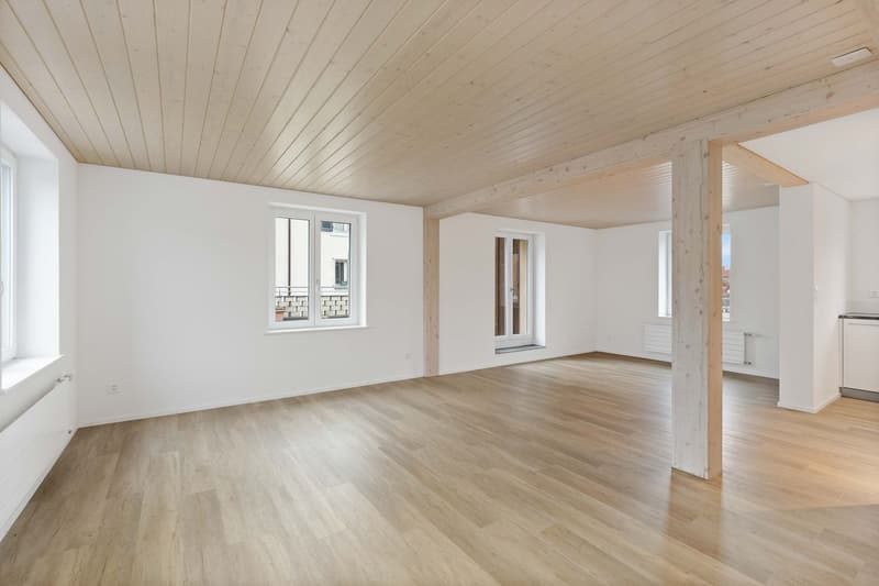 6.5-Room Apartment (8)