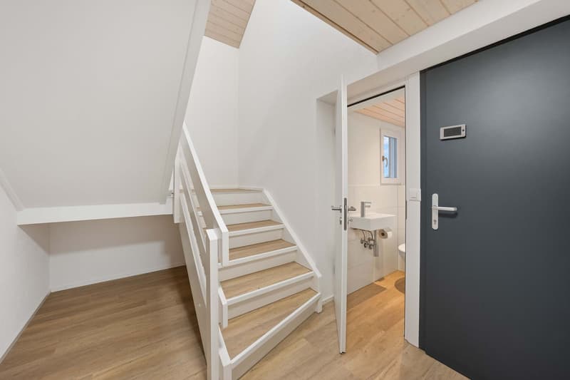 6.5-Room Apartment (5)