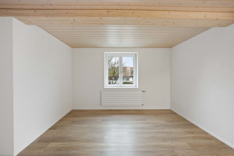 6.5-Room Apartment (4)