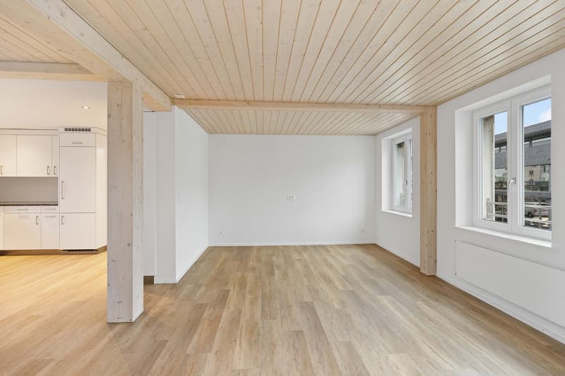 6.5-Room Apartment (7)