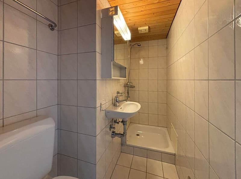 3.5-Room Apartment (9)
