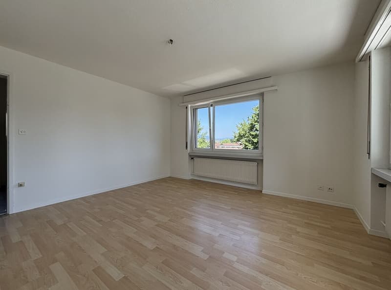 Appartamento 3,5 locali (3)