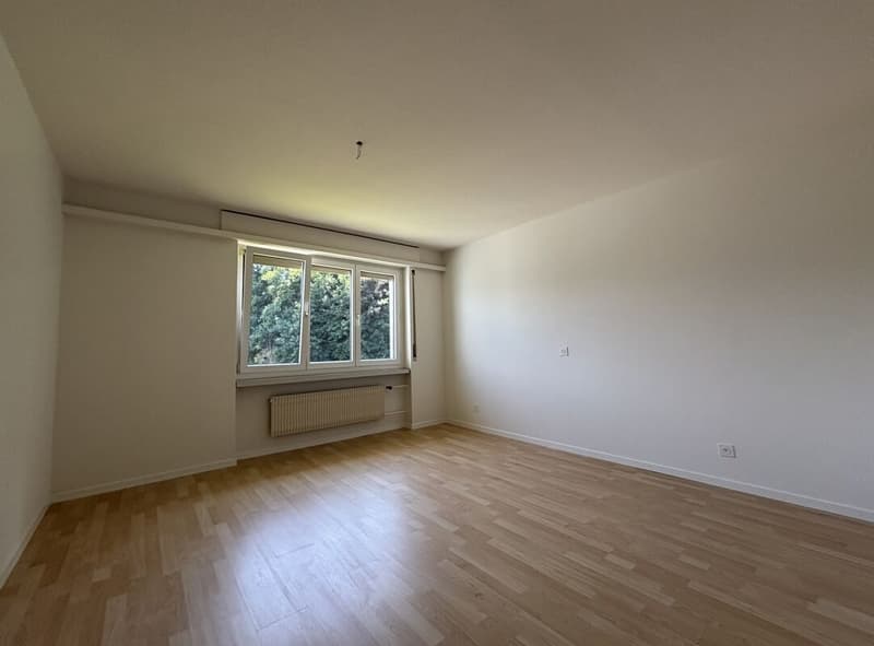 Appartamento 3,5 locali (5)
