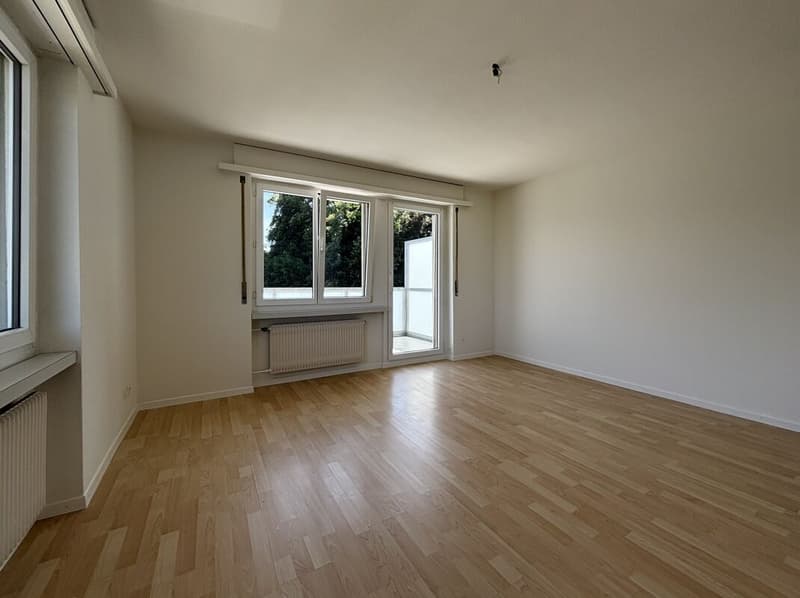 Appartamento 3,5 locali (4)