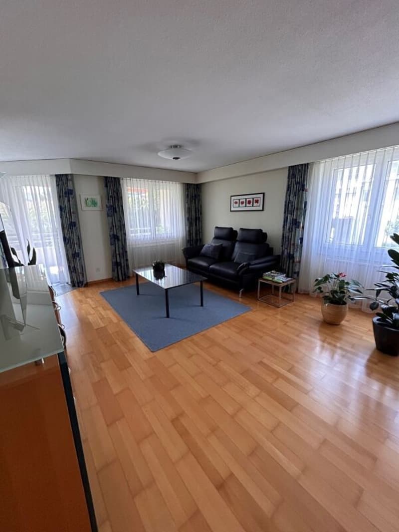 Appartamento di 4,5 locali (10)