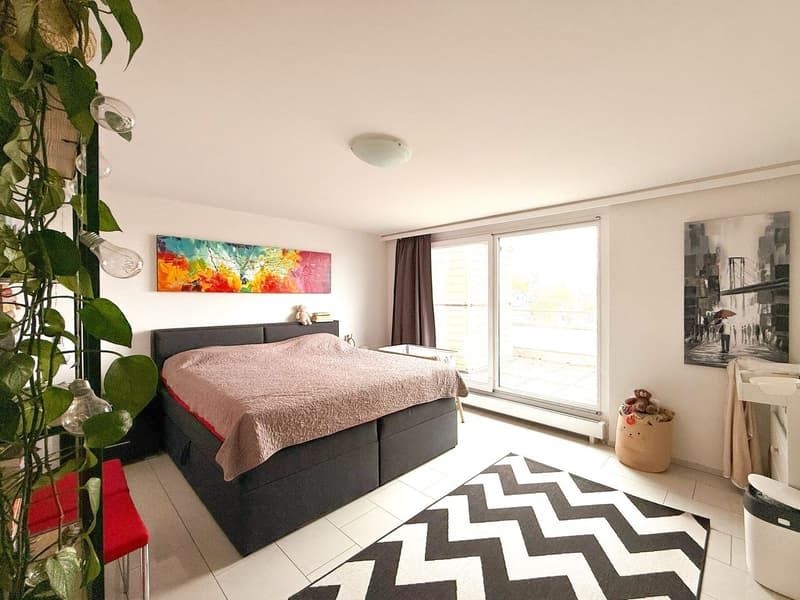 3.5-Room Attic Apartment (6)
