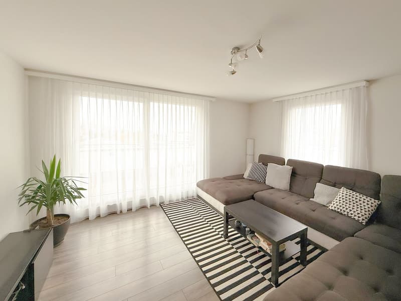 3.5-Room Attic Apartment (5)