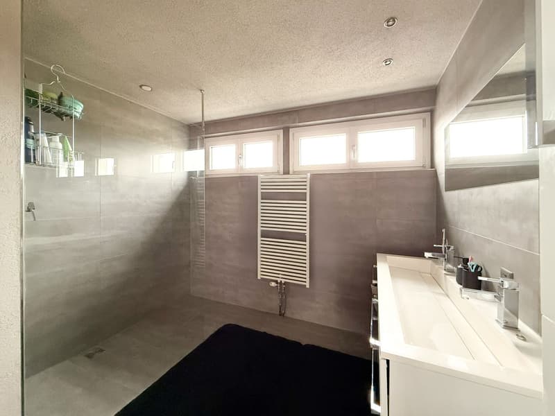 3.5-Room Attic Apartment (9)