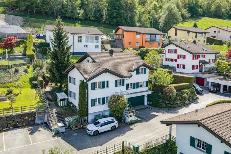 Single-family house (3)