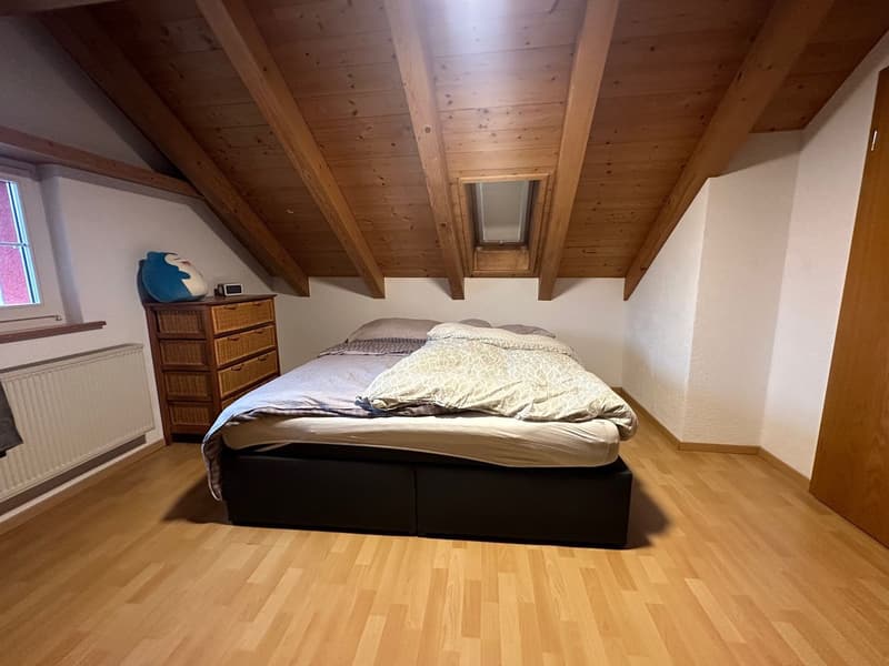Casa residenziale e commerciale (8)