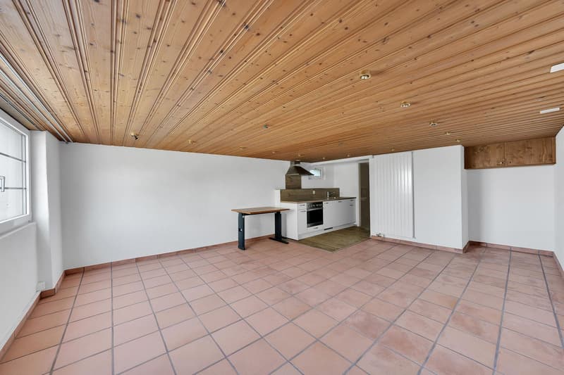 Appartamento di 1,5 locali (4)