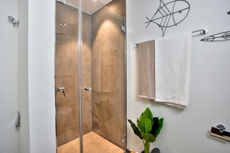 1.5-room apartment (8)