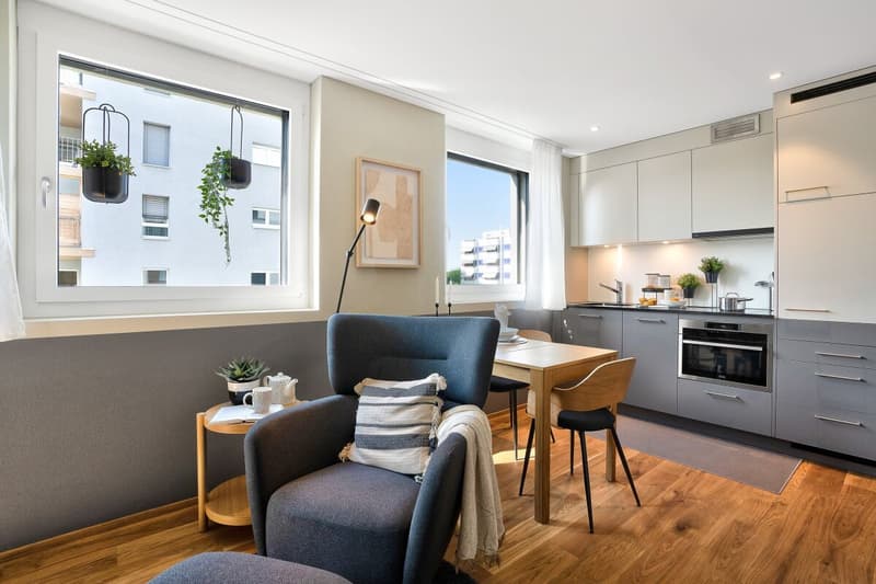 1.5-room apartment (4)