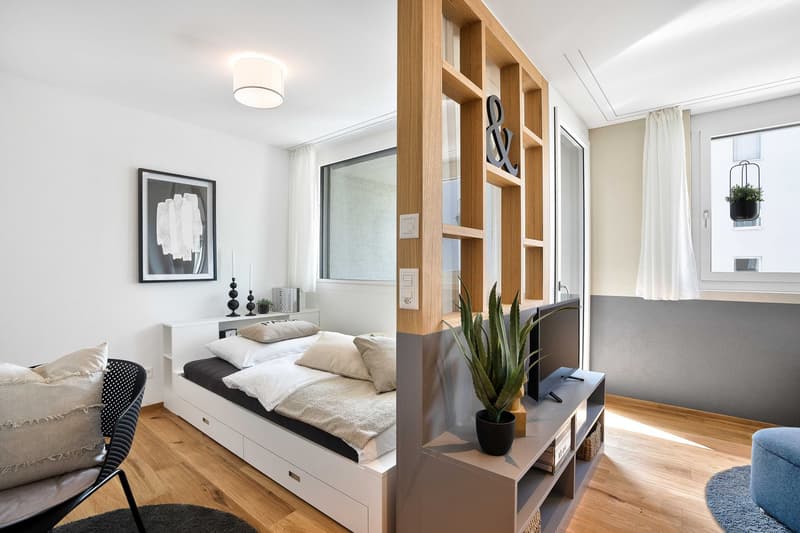 1.5-room apartment (2)
