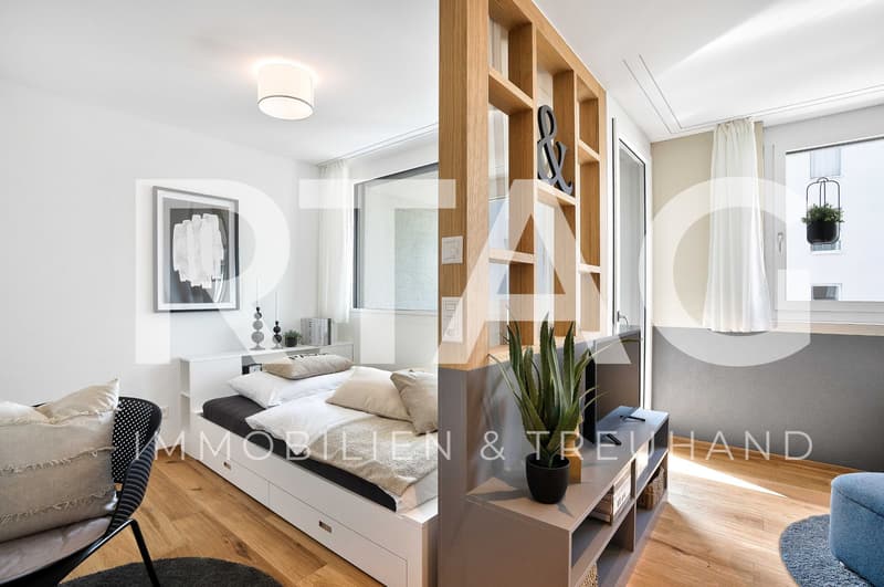 1.5-room apartment (1)