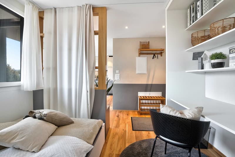 1.5-room apartment (3)