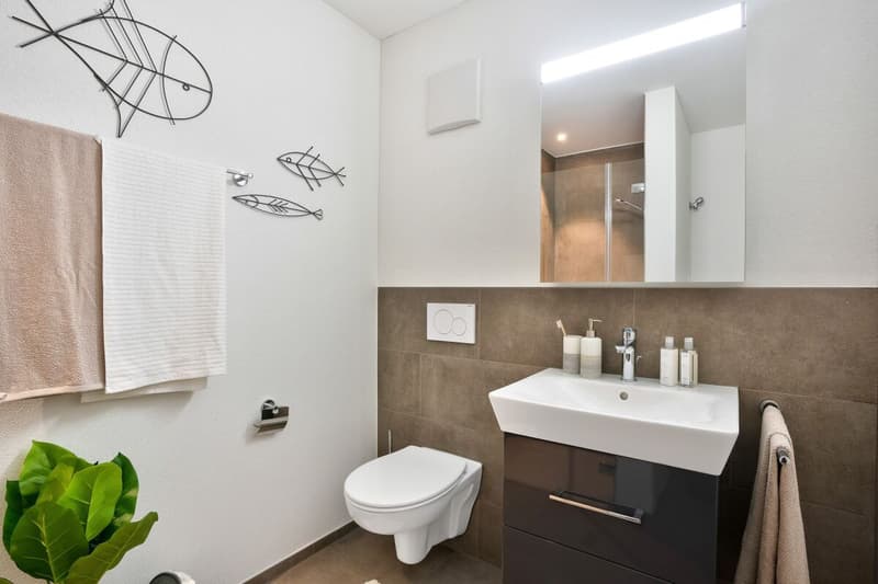 1.5-room apartment (7)